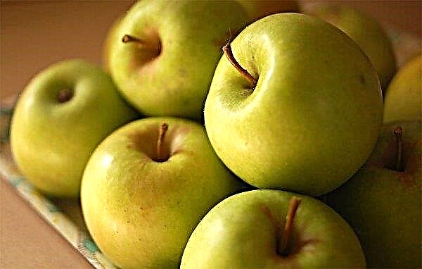 リンゴの木むつ：栽培品種の説明と特徴、栽培の特徴、写真、レビュー